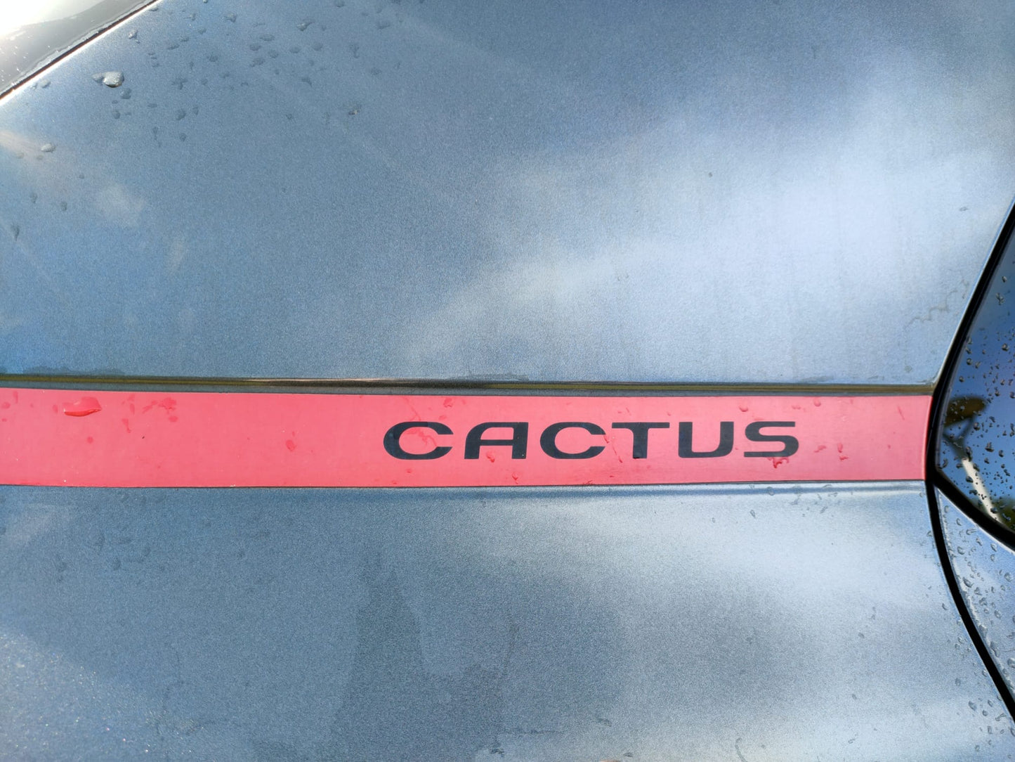 Citroen C4 Cactus